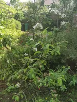 IMG_20210516_141124.webp