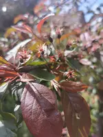 IMG_20210516_140747.webp