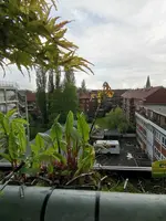 IMG_20210516_144946.jpg
