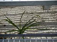 11_05_2021 (20).webp