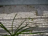 11_05_2021 (21).webp