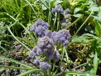 SAM_2432.webp