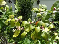 SAM_2437.webp