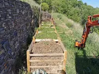 IMG_20210503_164617.jpg