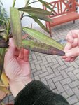IMG_20210515_172348.jpg