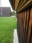 DSCN3459.JPG