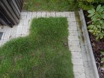 DSCN3467.JPG