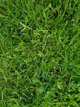 20210515_120414.jpg