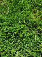 20210516_122322.webp