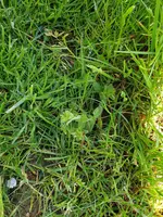 20210516_122457.webp