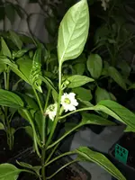 IMG_1913.webp
