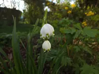 DSCF4633.webp