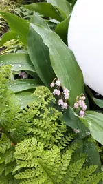 20210518_064747.webp