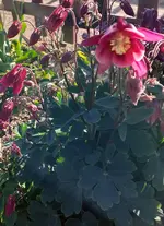 20210517_184017 (2).webp