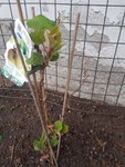 20210517_070821.jpg