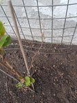 20210517_070818.jpg