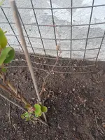 20210517_070818.webp