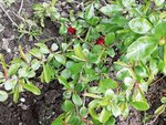 IMG_20210508_171341.jpg