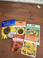 Samenblumen.webp
