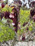IMG_0199.jpg