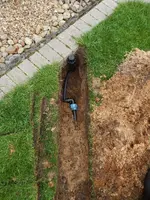 DSCN3480.webp