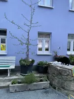CC6C2987-D1F8-47D3-A8C3-6F1DCB558FBF.jpeg