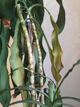 IMG_20210519_150516.jpg