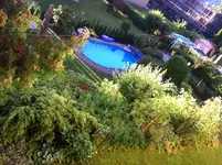 2016-07-14 06.02.20.jpg