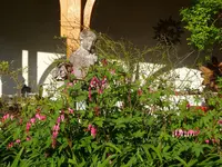 DSC01688.webp