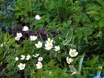 DSCN8558.JPG