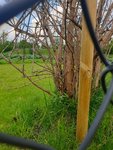 20210520_164906.jpg