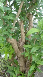 P1280558.webp P1280558.webp