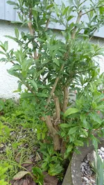 P1280560.webp P1280560.webp