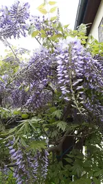 20210518_115321.webp