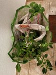 IMG_20210520_215809.jpg