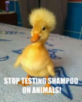 38107943lj.png