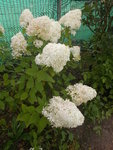 DSCN1635.JPG