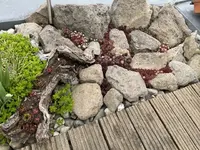 19268205-3731-42CD-98A1-8593E67955B3.jpeg