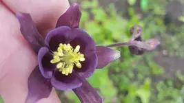 20210520_180330.webp