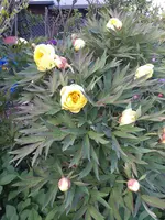 20210522_184742.webp