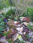 20210522_185021.jpg
