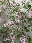 IMG_1547.jpeg