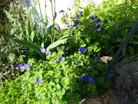 DSC01693.JPG