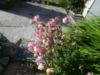 DSC01695.JPG