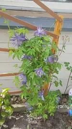 20210513_141018.webp