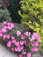 IMG_0279.webp
