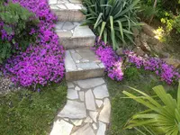 IMG_0284.webp
