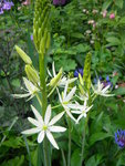 DSCN8816.JPG