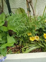 IMG_20210523_105739.webp
