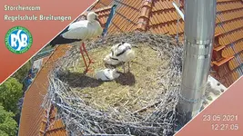bild.php.webp
